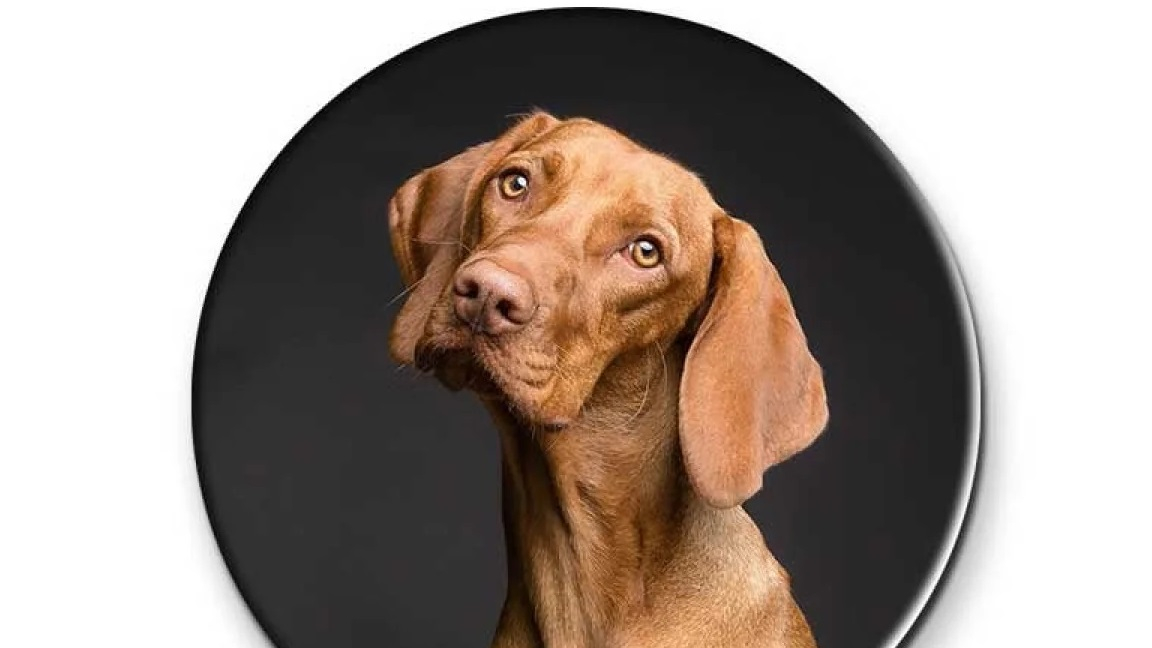 Živ barvni tisk prikaže vaše fotografije v najboljši luči.