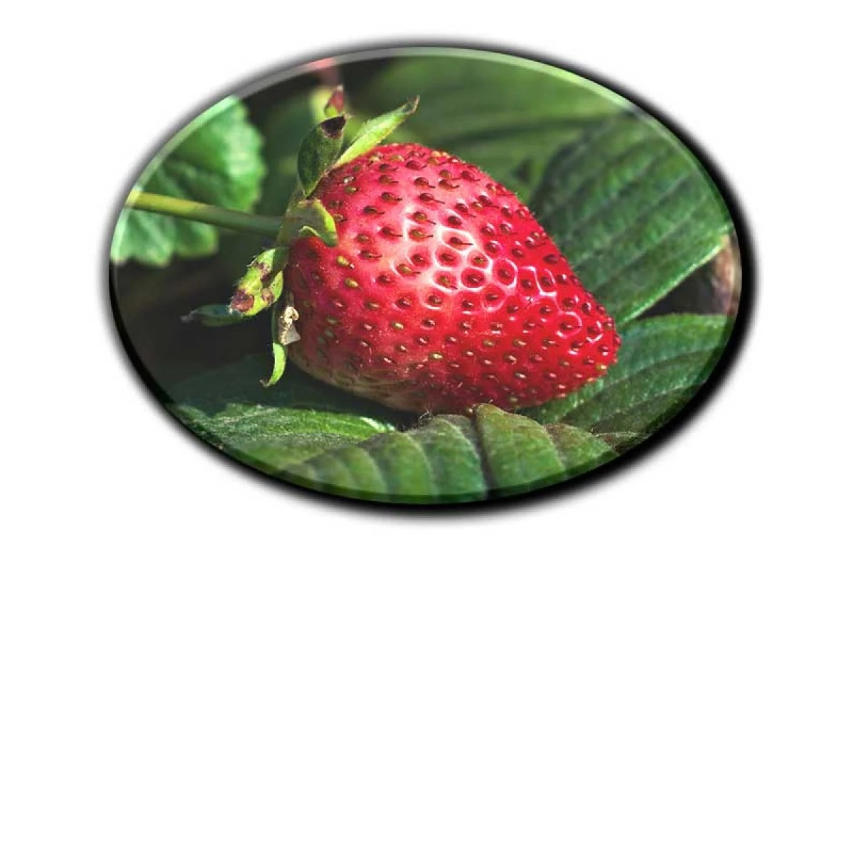 Bleščeča površina poudari živost vaših fotografij in oblik.