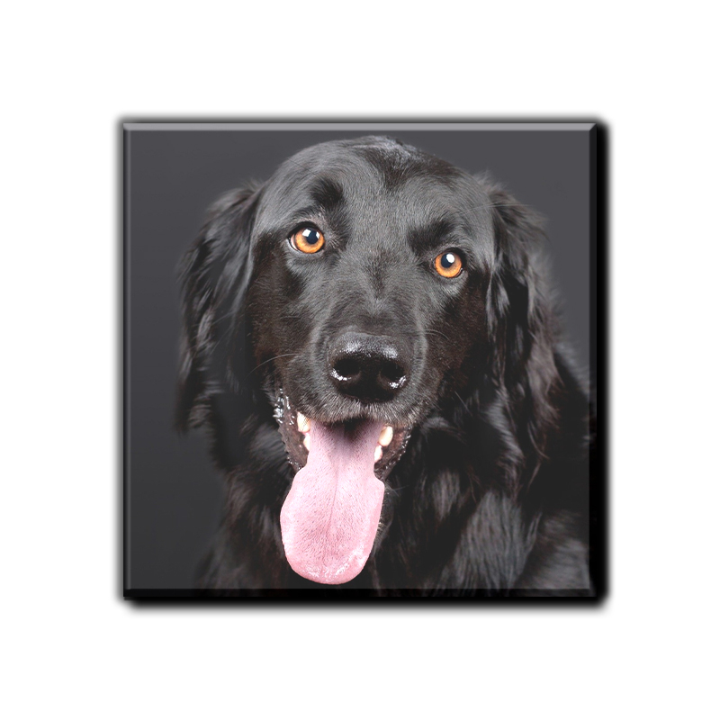 Visokokakovostni tisk zagotavlja žive barve in ostre detajle fotografij.