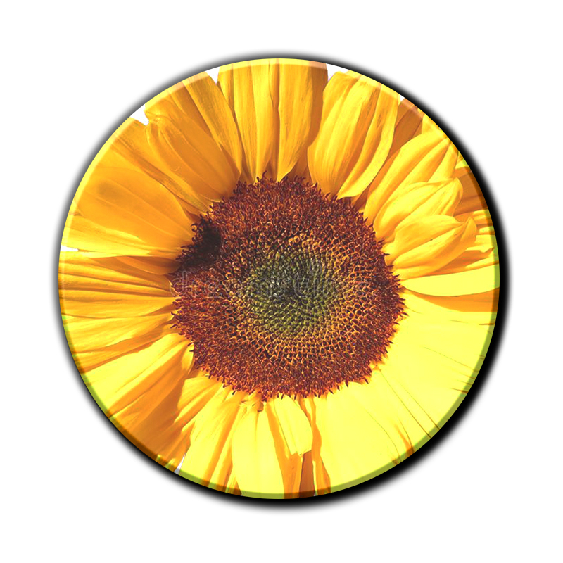 Visokokakosten tisk zagotavlja žive barve in ostro sliko.