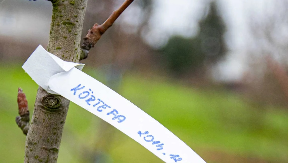 Tyvek material zagotavlja dolgotrajno odpornost na vse vremenske razmere.