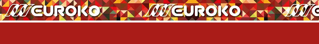 Tisk na obeh straneh (4+1)