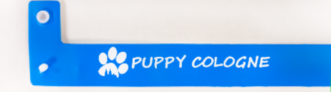 Da, potrebujem enobarvno prilagoditev (1+0)! - +10,000 € (+12,300 € Vklj. davek)